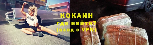 стаф Няндома