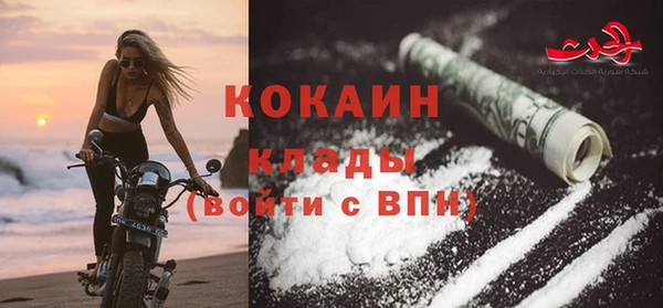 стаф Няндома