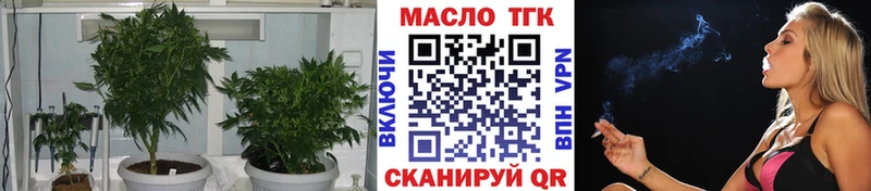 купить наркоту  shop Telegram  Дистиллят ТГК концентрат  Кадников 